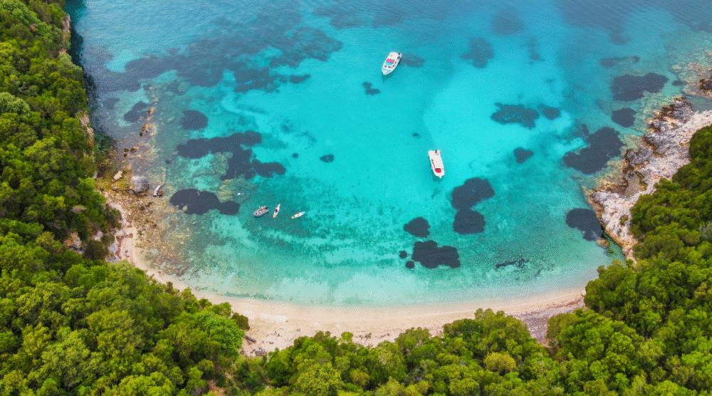 Which are the Best Tours in Corfu