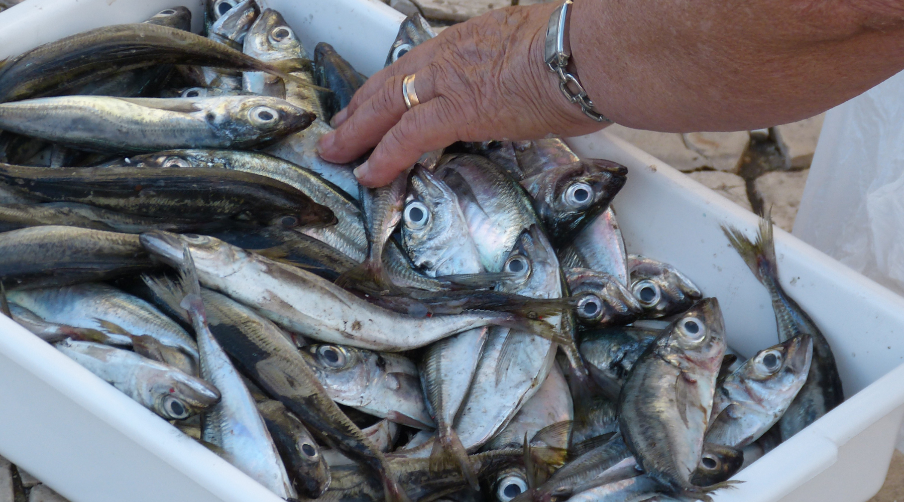 Corfu Private Fish Cooking